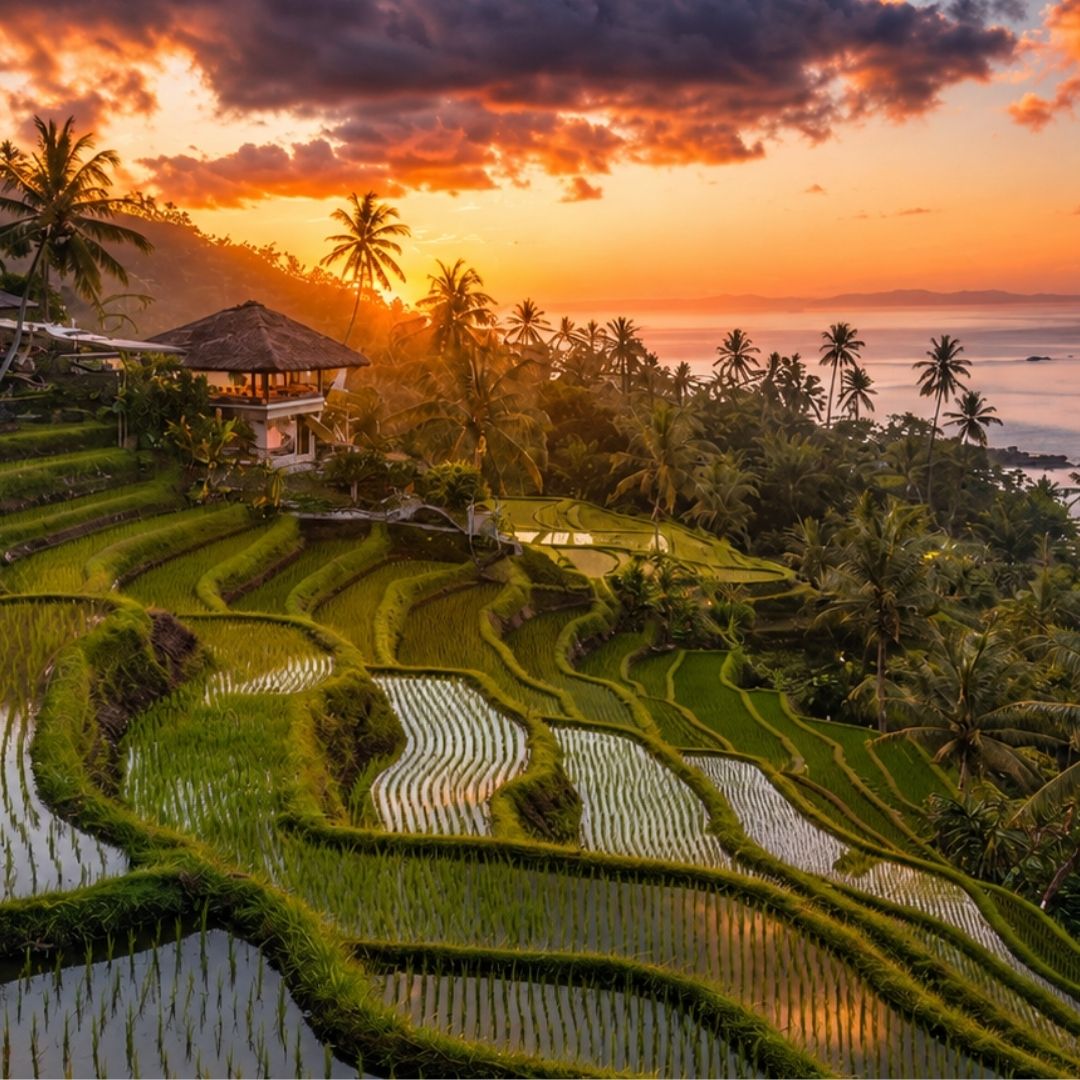 BALI-1080x1080-EVENT-V1.0